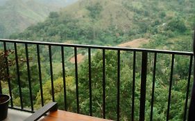 Will Guest Homestay